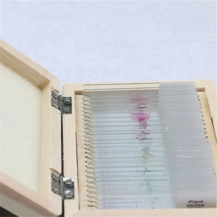 Factory Biology high quality and best price 8pcs plant root tip L.S. microscope prepared slides for botany biology set