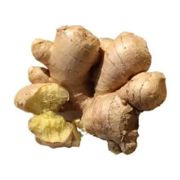 China wholesale GAP new Fresh Ginger