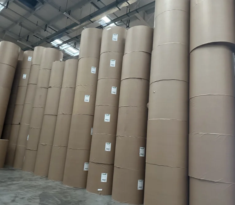 Ivory Board/SBS Board FBB Coated Craft Paper for Tea Packaging Single Side Coating on Cardboard for Paper Cups and Cups
