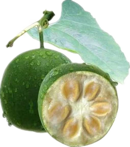 Hot Selling Pure Natural Luo Han Guo Extract Powder Monk Fruit Extract