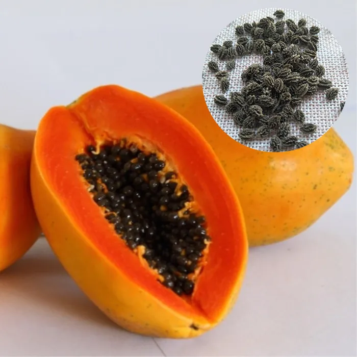 Mu gua высокой прорастания тайвань f1 гибрид radlady papaya семена