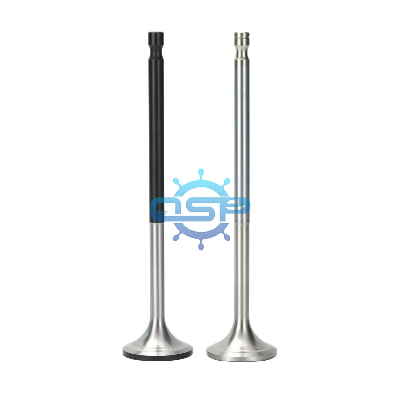 High Quality Marine Intake and Exhaust Valve for Engine DK20
