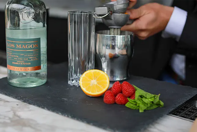 Высококачественный Натуральный Пищевой спирт Los Magos Sotol Blanco Premium