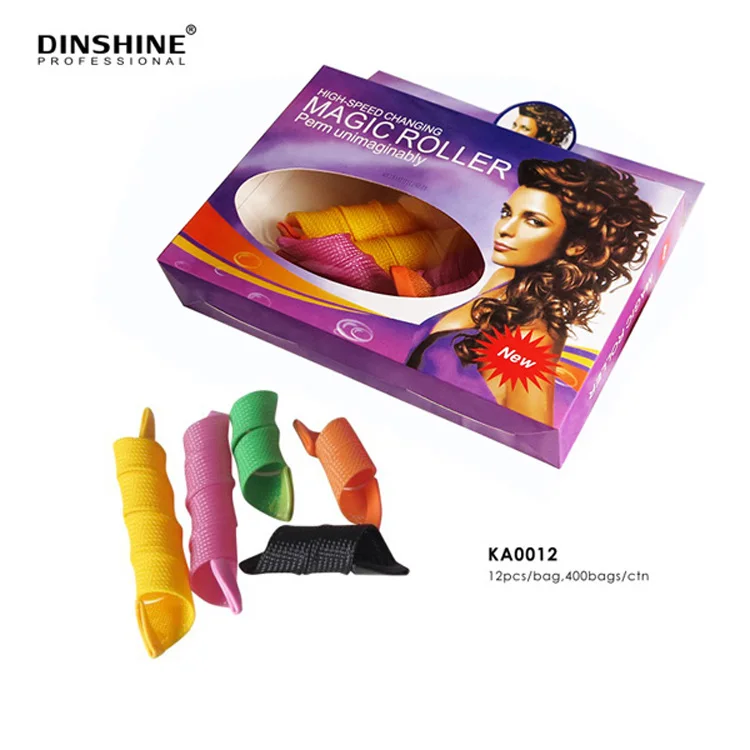 Dinshine New Product Plastic Mesh Magnetic Hair Rollers