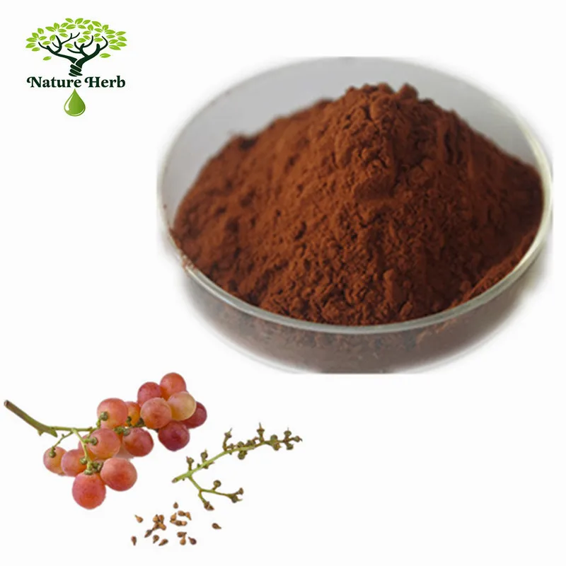 95% proanthocyanidine  grape seed extract powder
