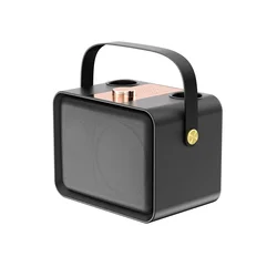 Vintage Bluetooth Speakers Leather Portable Wireless Speaker Bluetooth 5.3 Karaoke Players Outdoor Speakers with Microphones