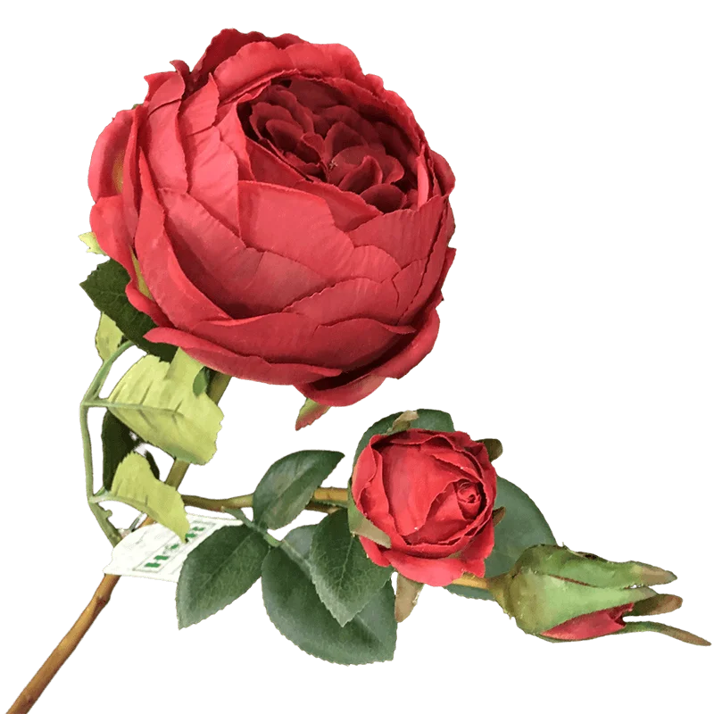 Sen Masine 60cm Home Decoration Real Touch Silk Flowers 2 bud Roses Multi Color Artificial Red Rose with stem