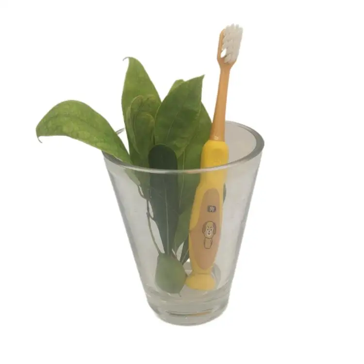 Toothbrushes Set Silicone Biodegradable Kids Cute Kid Toothbrush