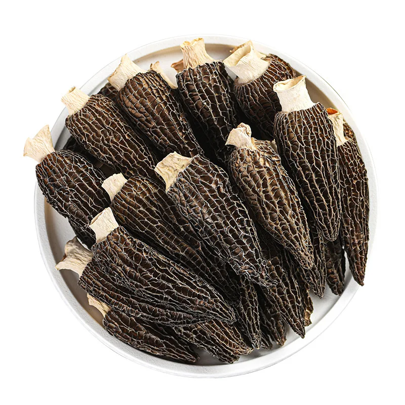 Wholesale Fresh Morilles Mushrooms  morchella Cultivation Mycelium Morel mushroom seeds