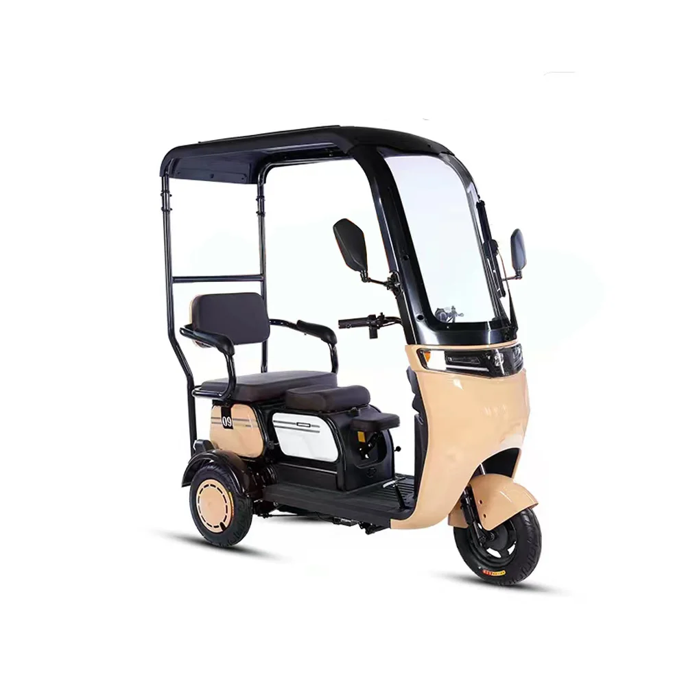 2024 New Pedicab Electric Trike 800W Family Vintage Cargo Electric Tricycle 3 Wheel Electric Bike For Sale