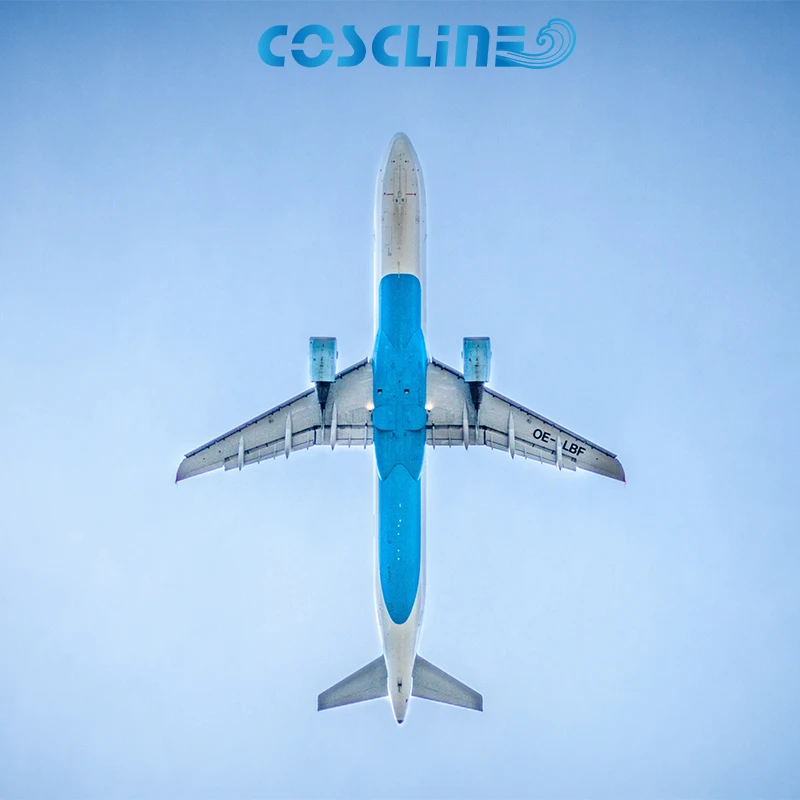 
 Coscline Быстрая доставка Прямая поставка веб-сайт художественные книги для ногтей  