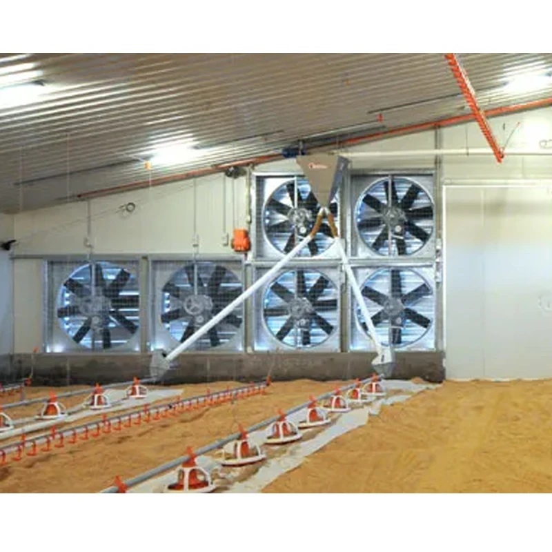 Factory Direct Sale Automated chicken breeding equipment Chicken Drinking Broiler Chicken Ground