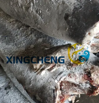 
Seafrozen oil fish HGT(Lepidocybium flavobrunneum) 