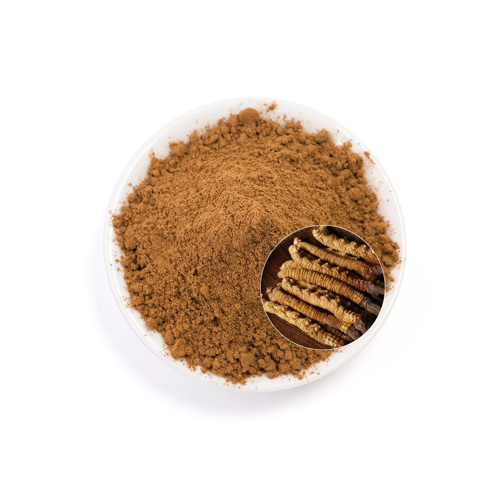 Durlevel Supply Cordyceps Sinensis Extract 0.6% 1% 3% 5% Cordyceps Sinensis