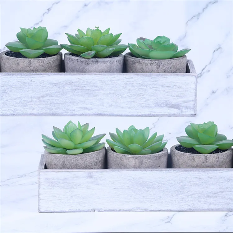 Artificial Succulent Plants Assorted Decorative Faux Succulent Potted Fake Cactus Cacti Plants with Gray Pots Set of 5 ES0845