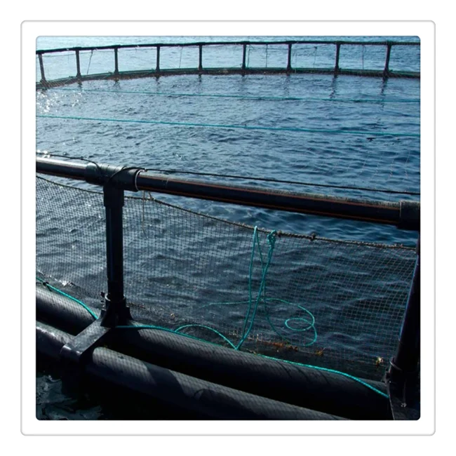hdpe Floating Fish Farming net Cage HDPE Bracket for Tilapia