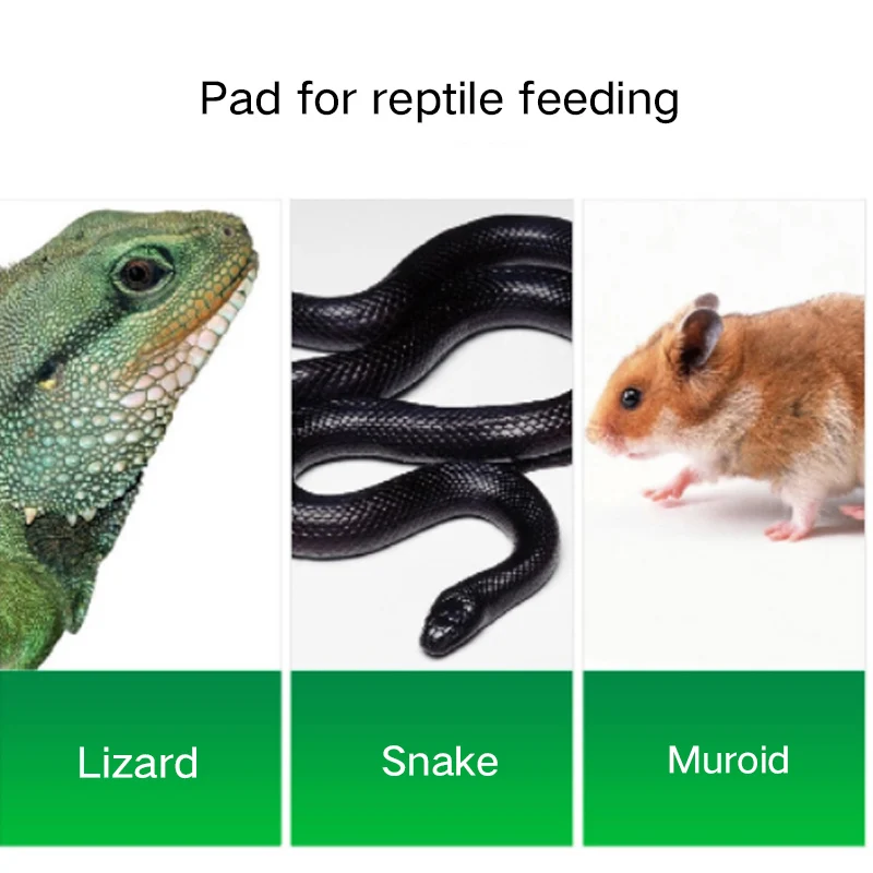  100% Eco-Friendly Wood Pellets Natural Aspen Shavings Bedding for small Animals Reptile