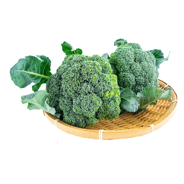 Горячая Распродажа китайское производство качественный экспорт свежий