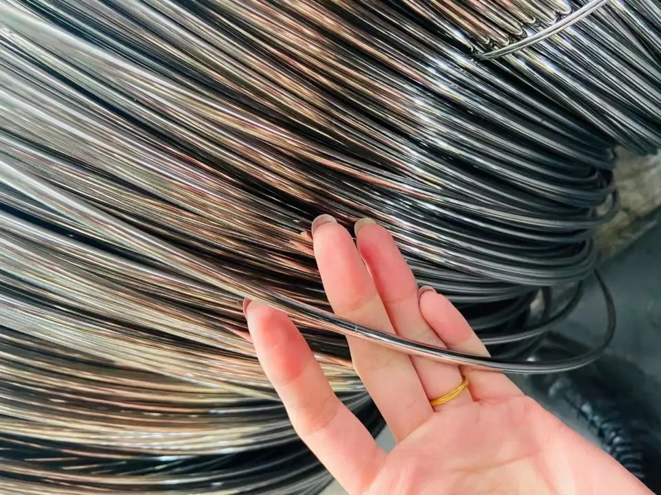 SS 304 316 202 WEA EPQ stainless steel wire rope brushes with prime quality