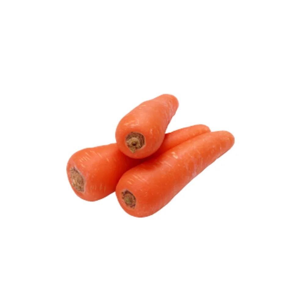 Factory Price New Crop Top Quality Low Price Fresh Carrots