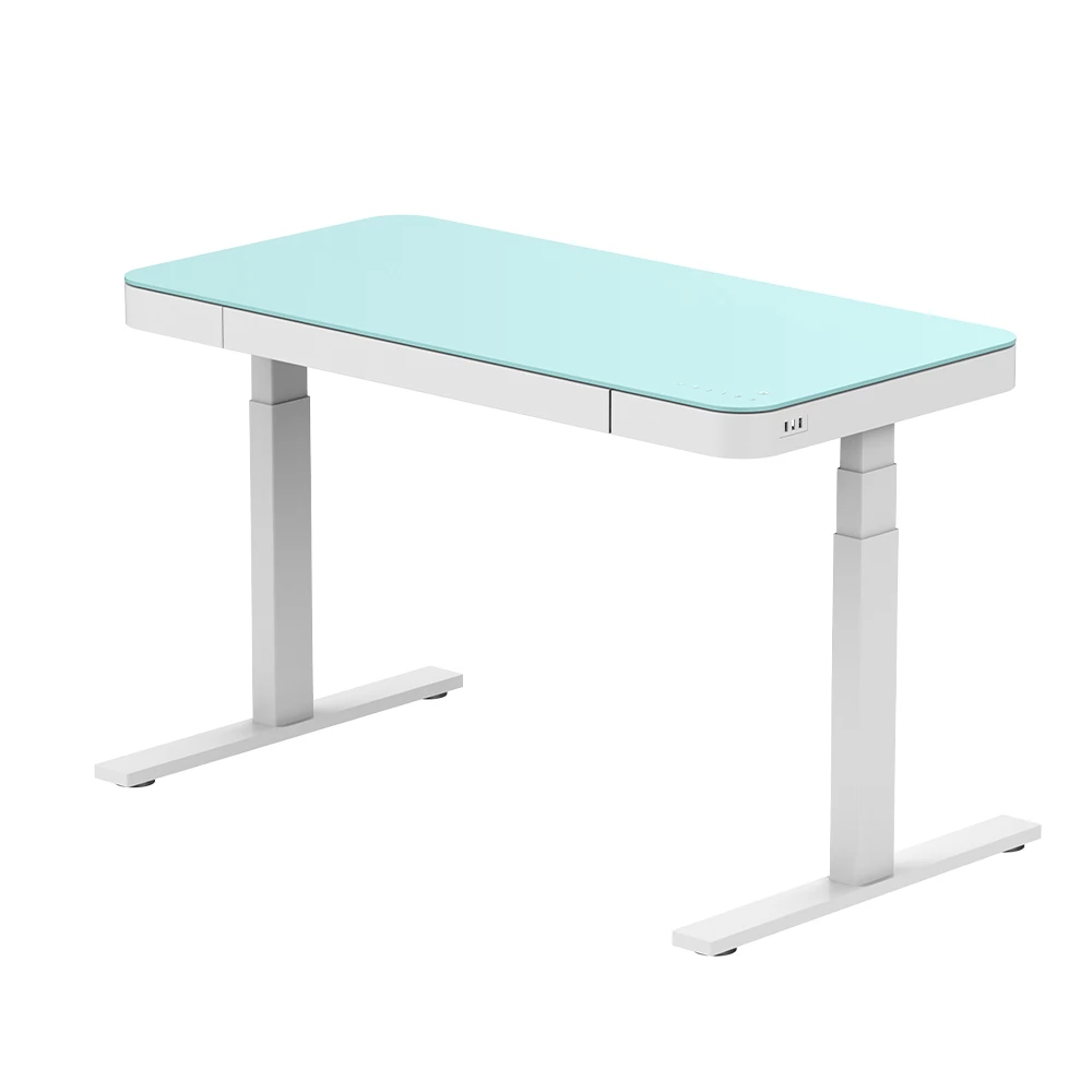 Ergonomic Dual Motor Height Rising Desk Metal Table Sit To Stand Desk Stand Up Standing Computer Desk With Glass Panel