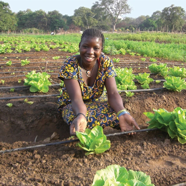 1 hectare agricultural watering irrigation system kits flat hose 20cm agriculture 16mm black plastic drip tape for farm garden