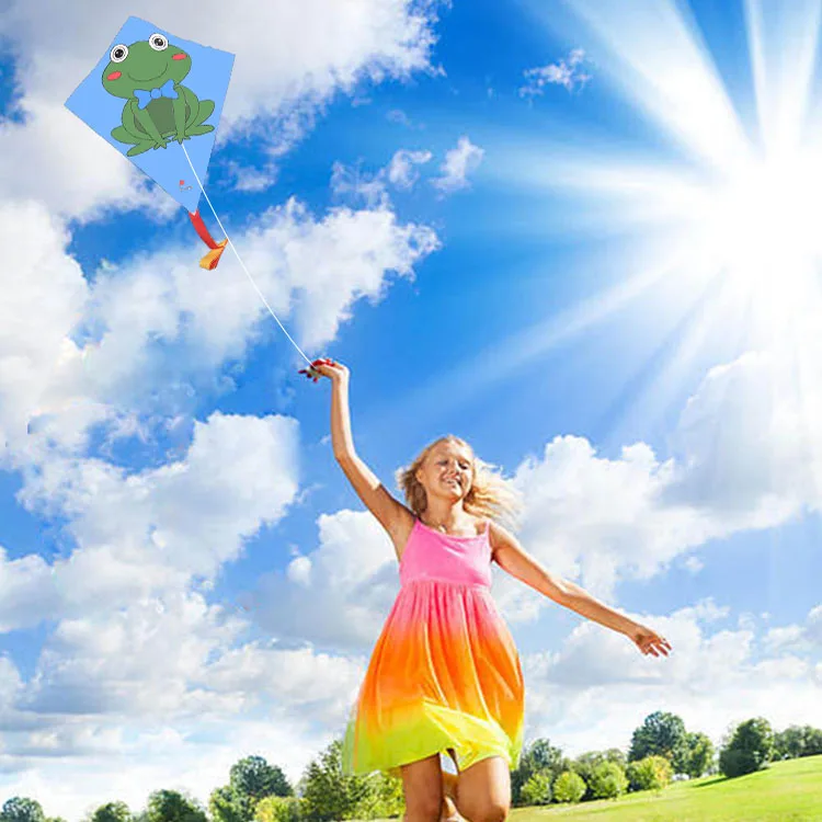 Customize Cheap Price Delta Kites Single Line Kites Diy And Non Woven Fabric Kite