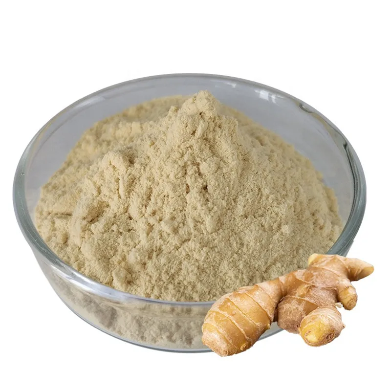 Factory direct supply ginger powder water soluble ginger extract powder 10%