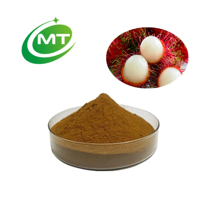 Rambutan peel extract Factory supply ISO Organic Nephelium lappaceum best price free sample