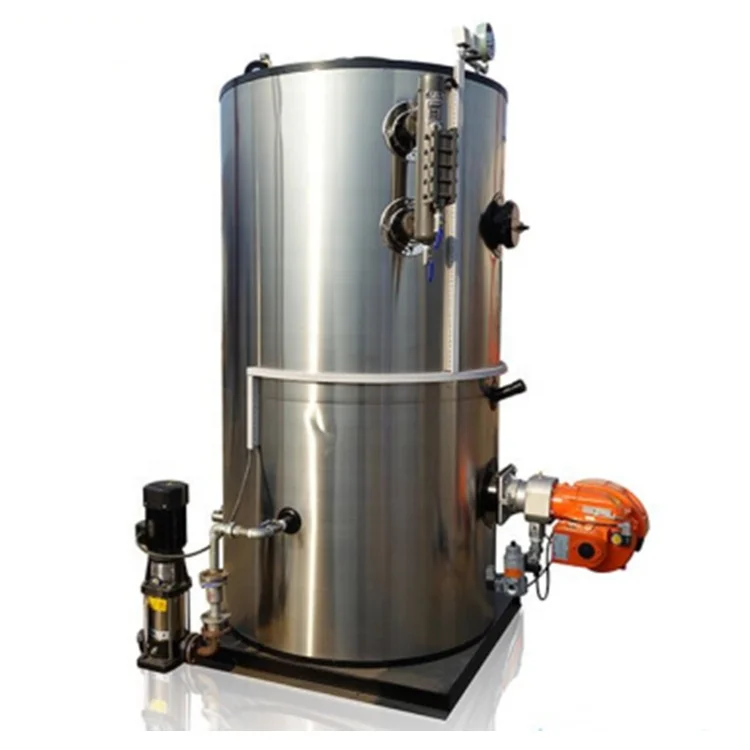 Domestic Boilers LHS Series Food Industry use LPG Steam 0.3ton 300liter per hour Natural Gas Heating Fired Boiler