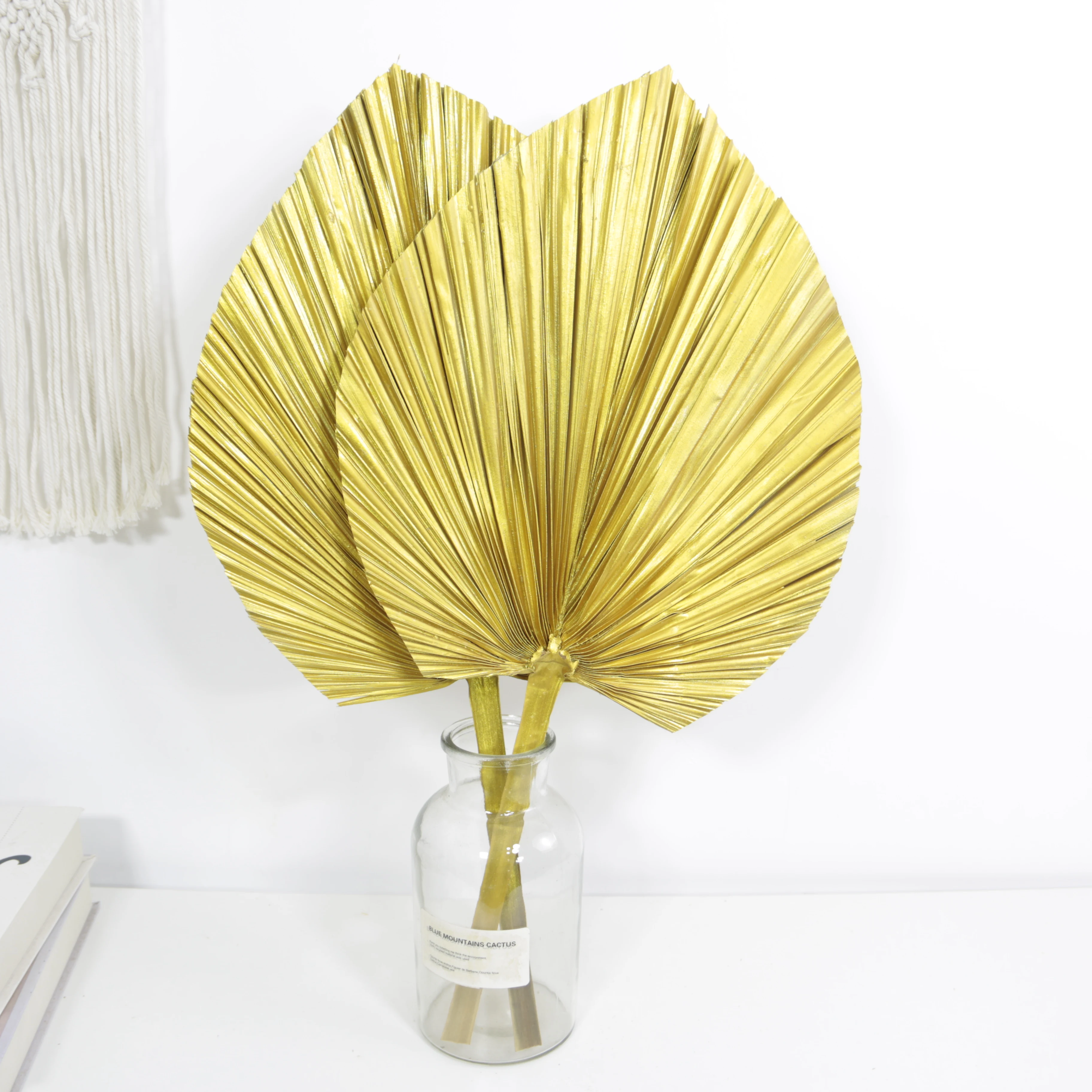 2022 Hot Sale Dried Flowers and Plants Natural Dried Palm Leaves Sun Palm Leaf Home and Dressing Bouquets