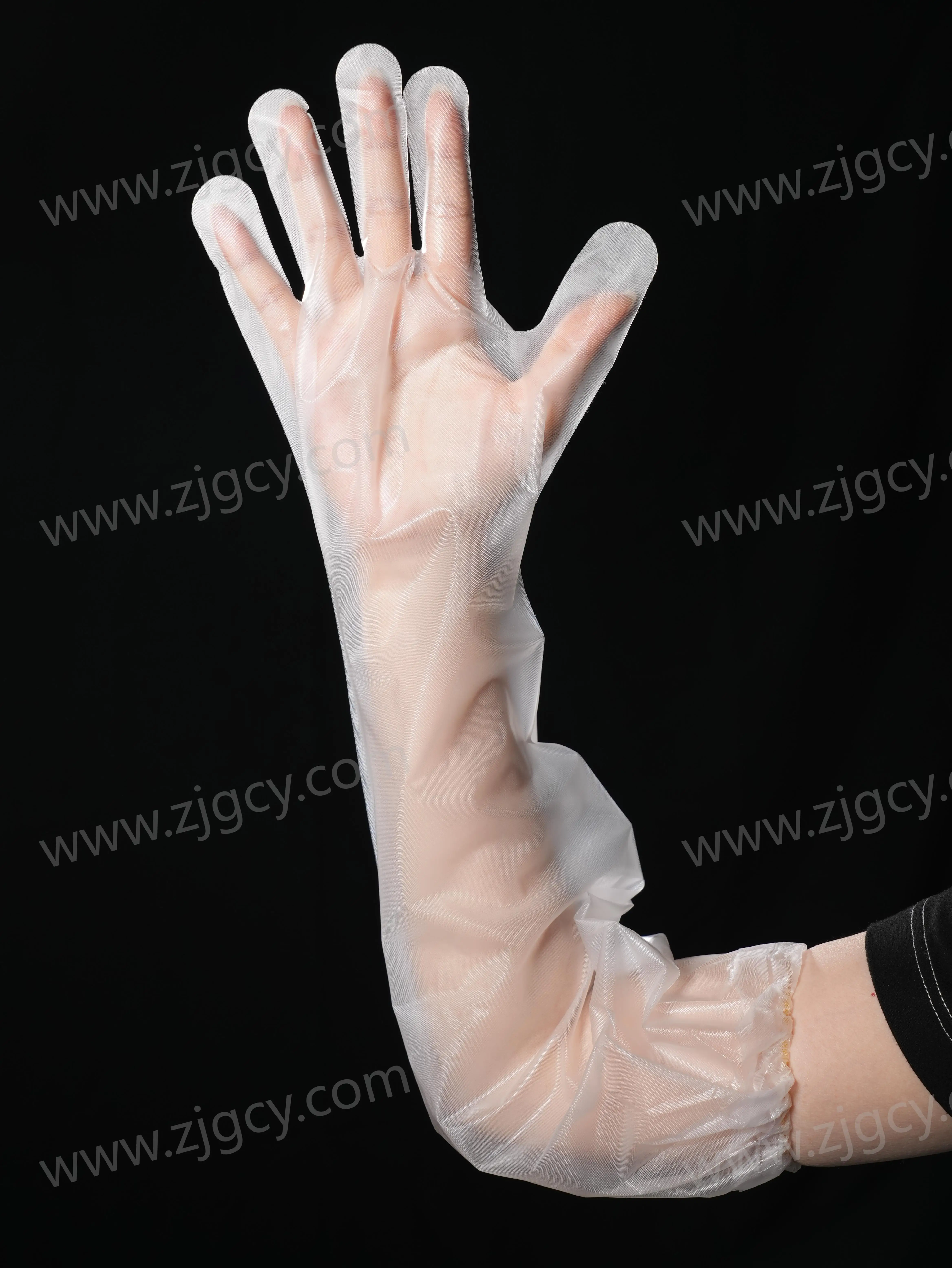 High Quality Kitchen Food Gloves Transparent Disposable Cpe Long Arm Gloves