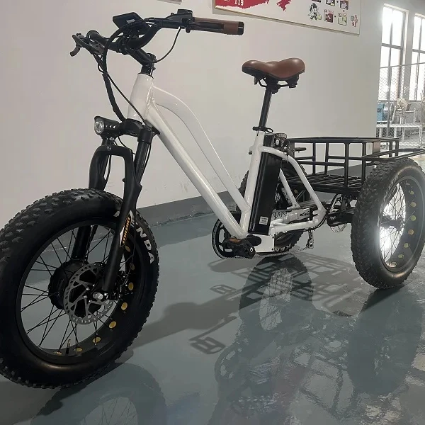 Customized 20inch Electric Cargo Trike Front Hub Motor Fat Tire 3 Wheels Bike Electronic Three Wheels Adult Electric Tricycle