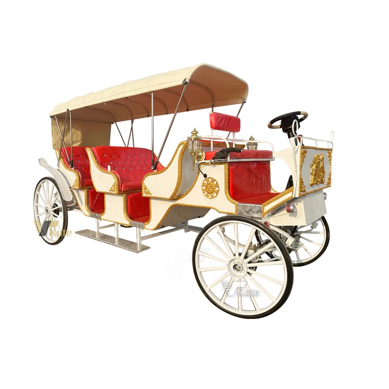 Outdoor Sightseeing Trolley Event Limousine Electric Vehicle Landau vis-a-vis Carriage