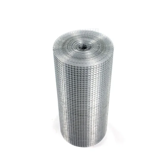 Manufacturer Direct Export Hot Dipped Galvanized Welded Wire Mesh