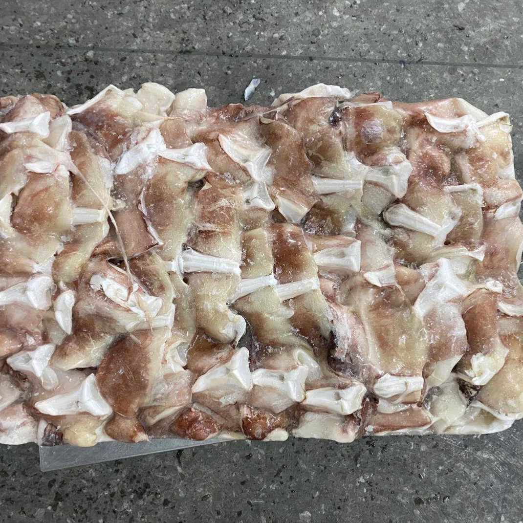 
Frozen Peru Giant Squid Neck Indian Ocean Squid Neck The Butterfly Shape 