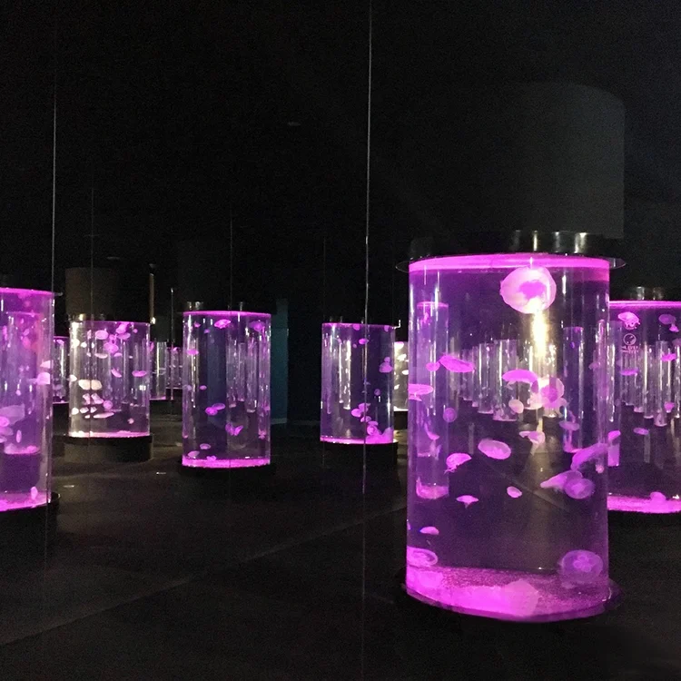 Medium-Sized Clear Cylinder Acrylic Aquarium Fish Tank Decoration fish