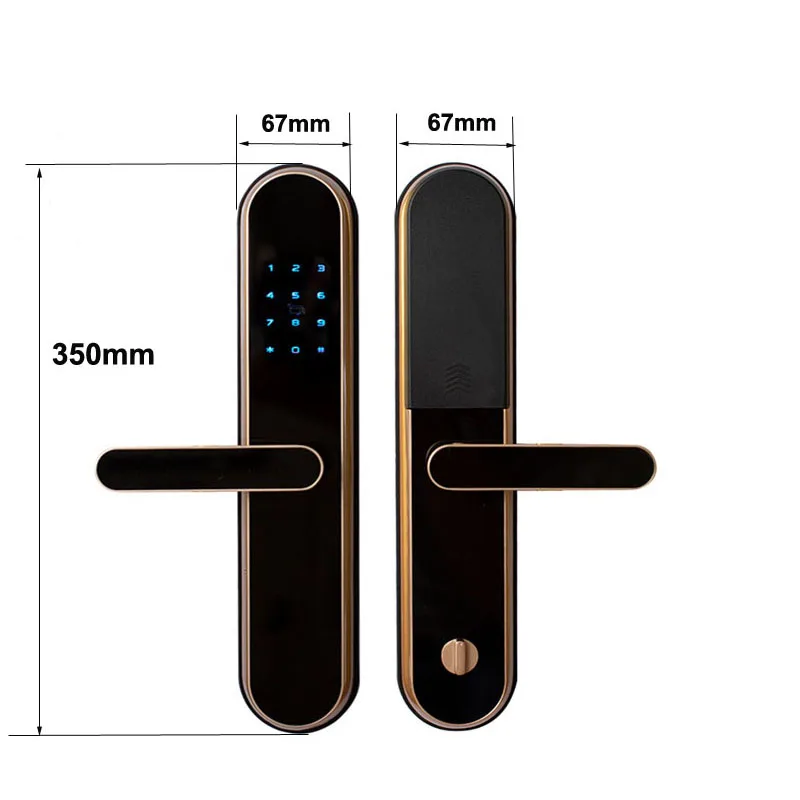 Factory price  ttlock app remote wifi ble electric smart security door lock