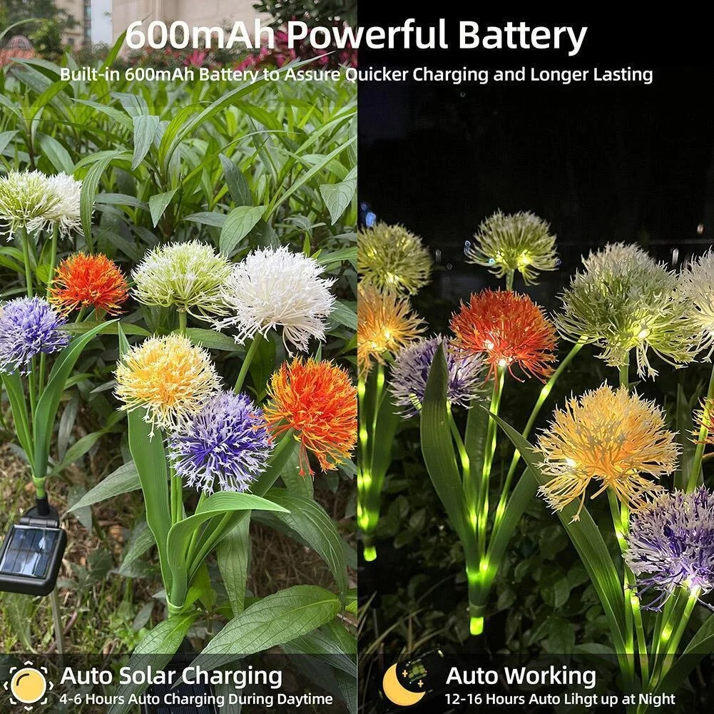 Wholesale Outdoor Colorful Solar Dandelion Garden Light With 36 Led String Lights Decorative Waterproof LED Yard Pathway Lamp