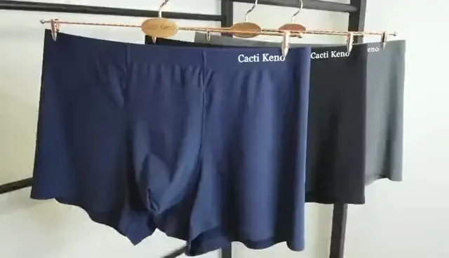 Custom Men Briefs Low Rise Ice Silk Sexy Bikinis Seamless Underwear