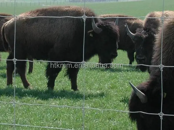 heavy duty fixed knot woven wire field game fence/ Galvanized Sheep Farm Fence Factory Price/ 2.2mm 2.5mm 2.7mm wire farm fence