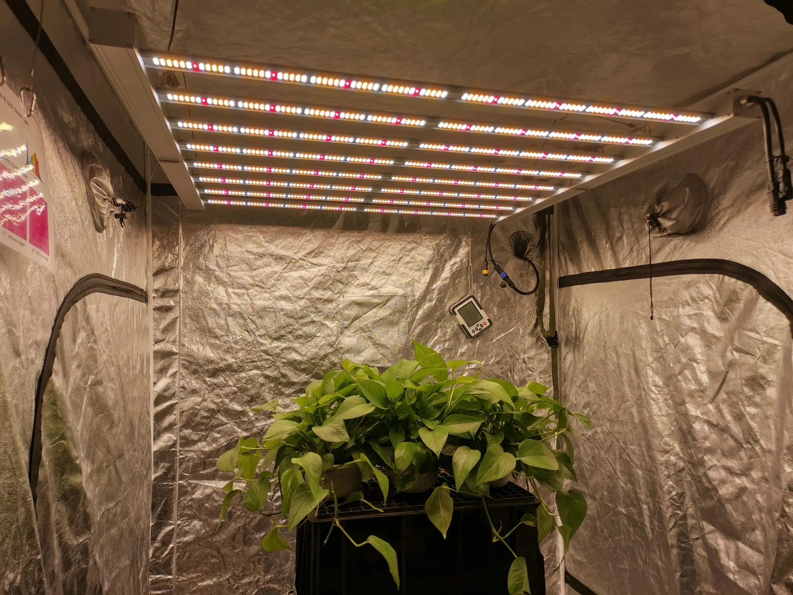 Sunritek 660w dimmable cob led grow light replace 1000W HPS  hydroponic grow led lights for indoor garden