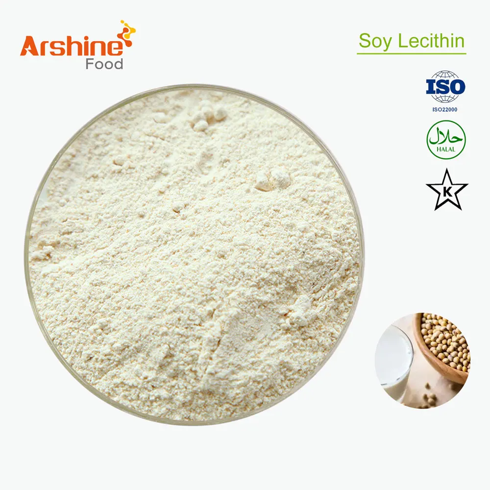 High Purity Natural Supplements Soybean Lecithin Powder CAS 8002-43-5 Soy Lecithin