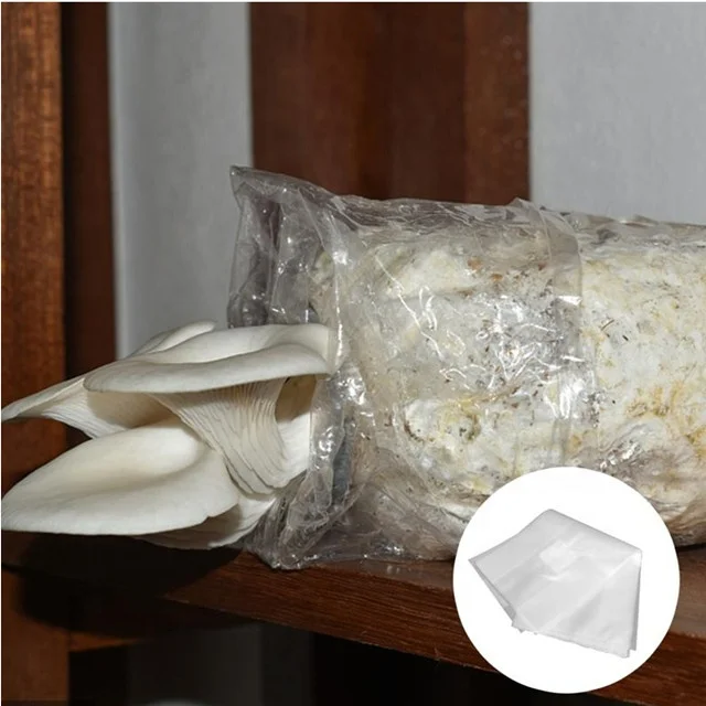 All in one mushroom grow bag mushroom grow bags spawn price