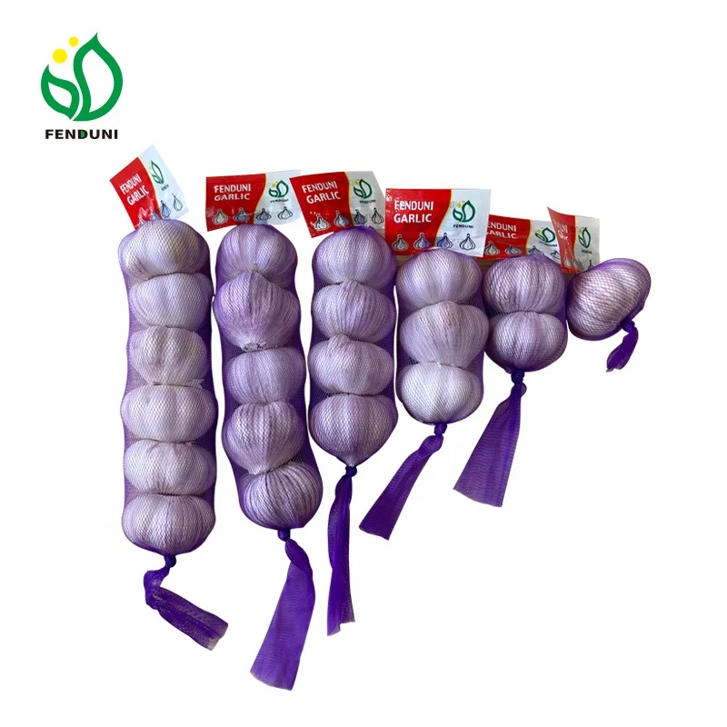 China Garlic Market Price from local Garlic Supplier ( Jin xiang Crop, 10kgs Carton/bag)