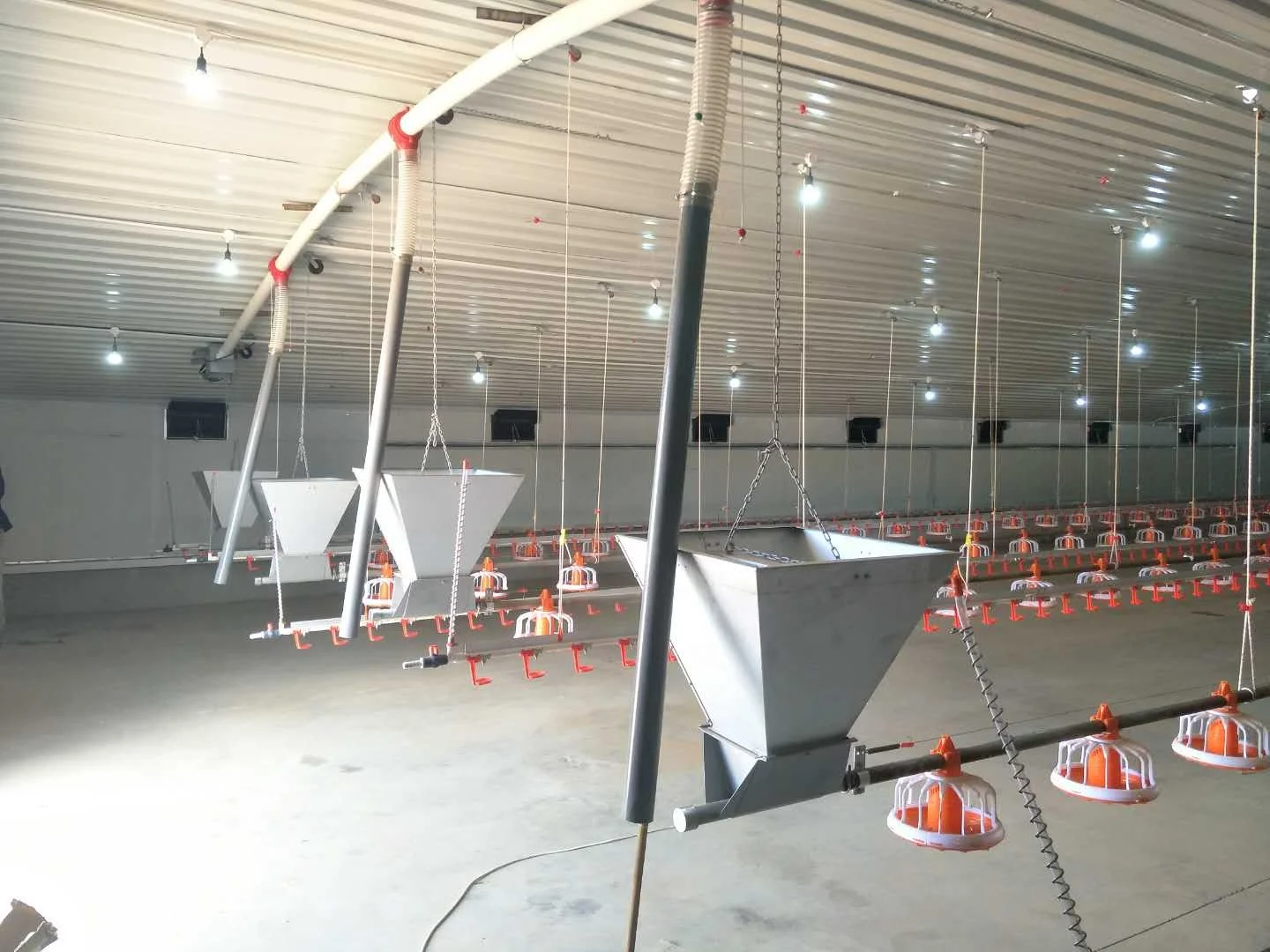 Новое дизайнерское автоматическое оборудование для кормления цыплят