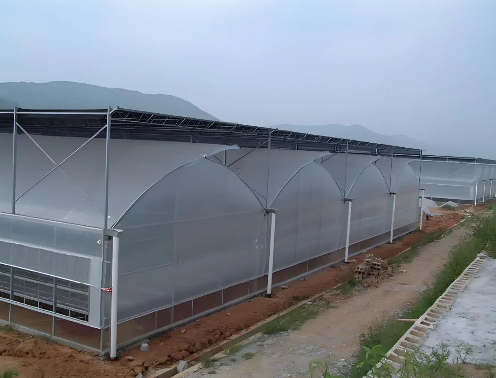 Easy to assemble,robust and steady large multi-span greenhouse for ornamental plants