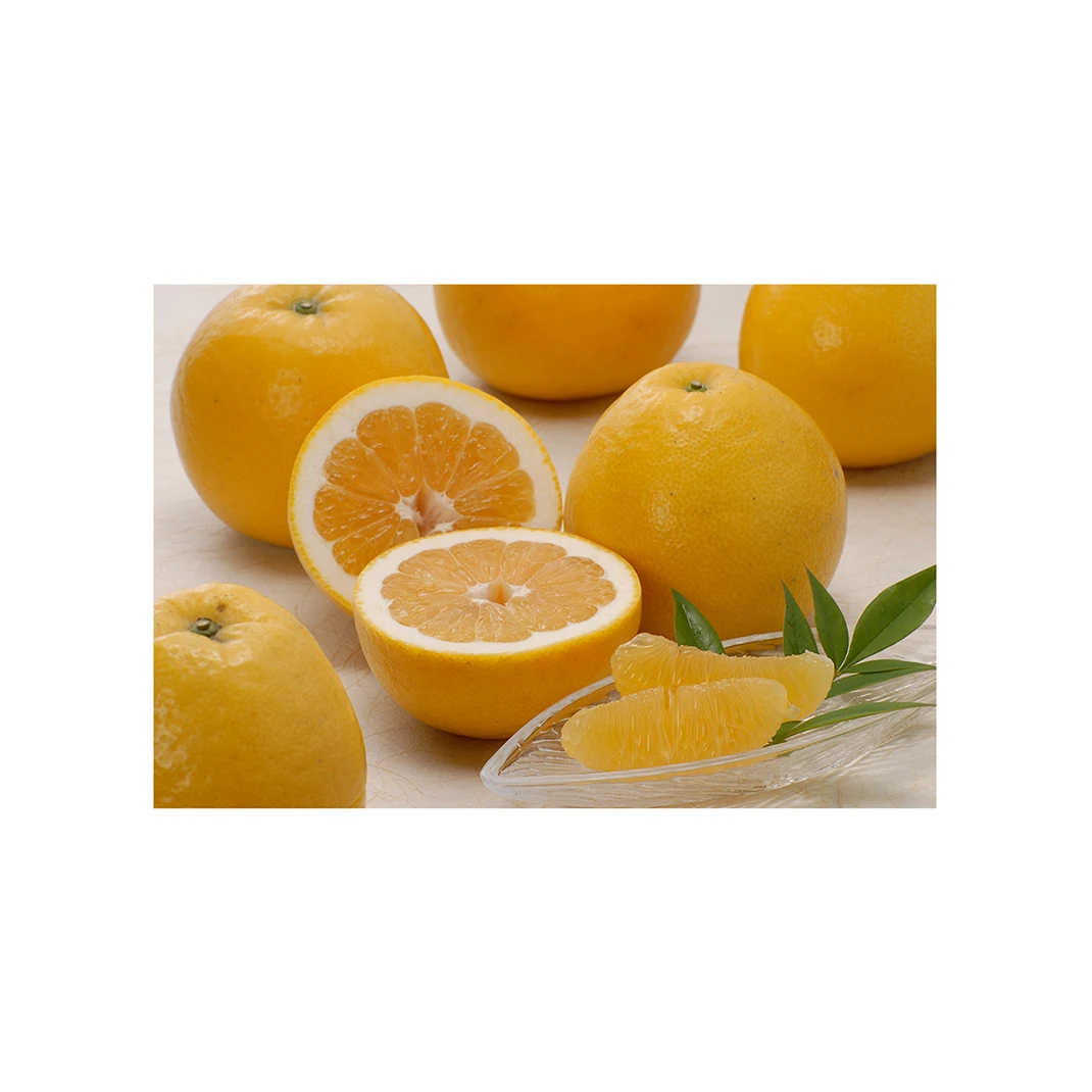 Japanese wholesale bulk fresh Japan food products with good quality