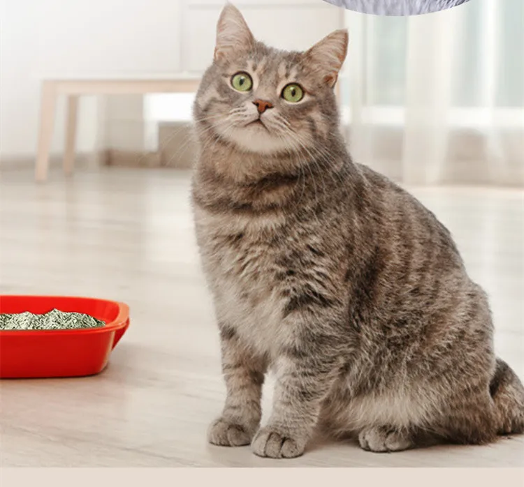 Customize Packing Bag Cat Litter Tofu Cat Litter No Dust Tofu Silica Gel Cat Litter