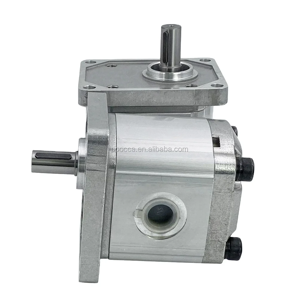 PLP PLM Series PL.20 PL.20.4 PL.20.8 PL.20.9 PL.20.16 PL.20.14 PL.20.19 PL.20.20 PL.20.25 Replace Casappa Hydraulic Gear Pump